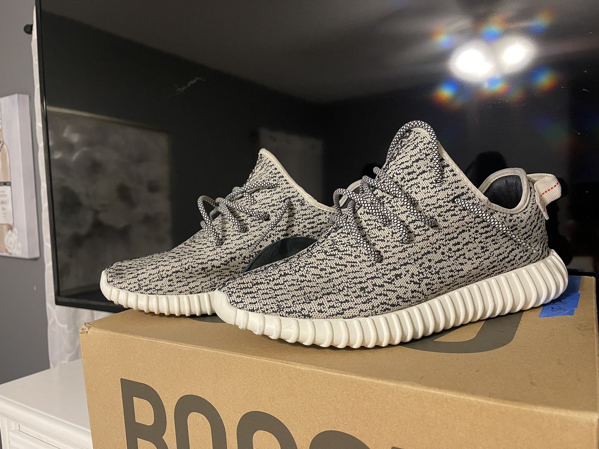 Yeezy Turtle Dove