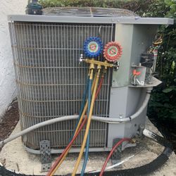 Cu Fan Motor 