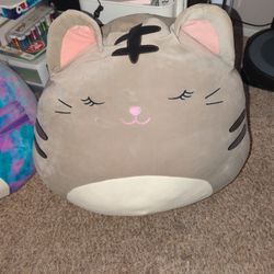 Massive Squishmallow