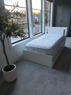 Twin bed plus Sealy performance mattress.   Like  new condition