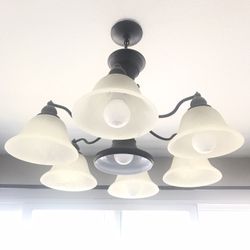 Ceiling Light  -$10  OBO