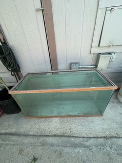 40 gallon tank