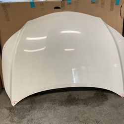 2016,2017,2018,2019,2020 Lexus Rx350 Hood