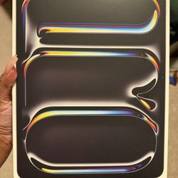 Ipad pro M5 cellular 13’