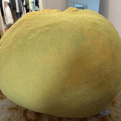 Bean Bag Chair