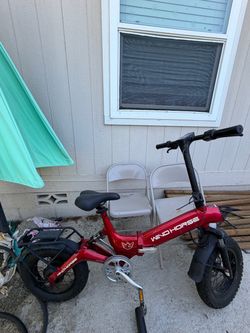 Wind Horse Electric Bike