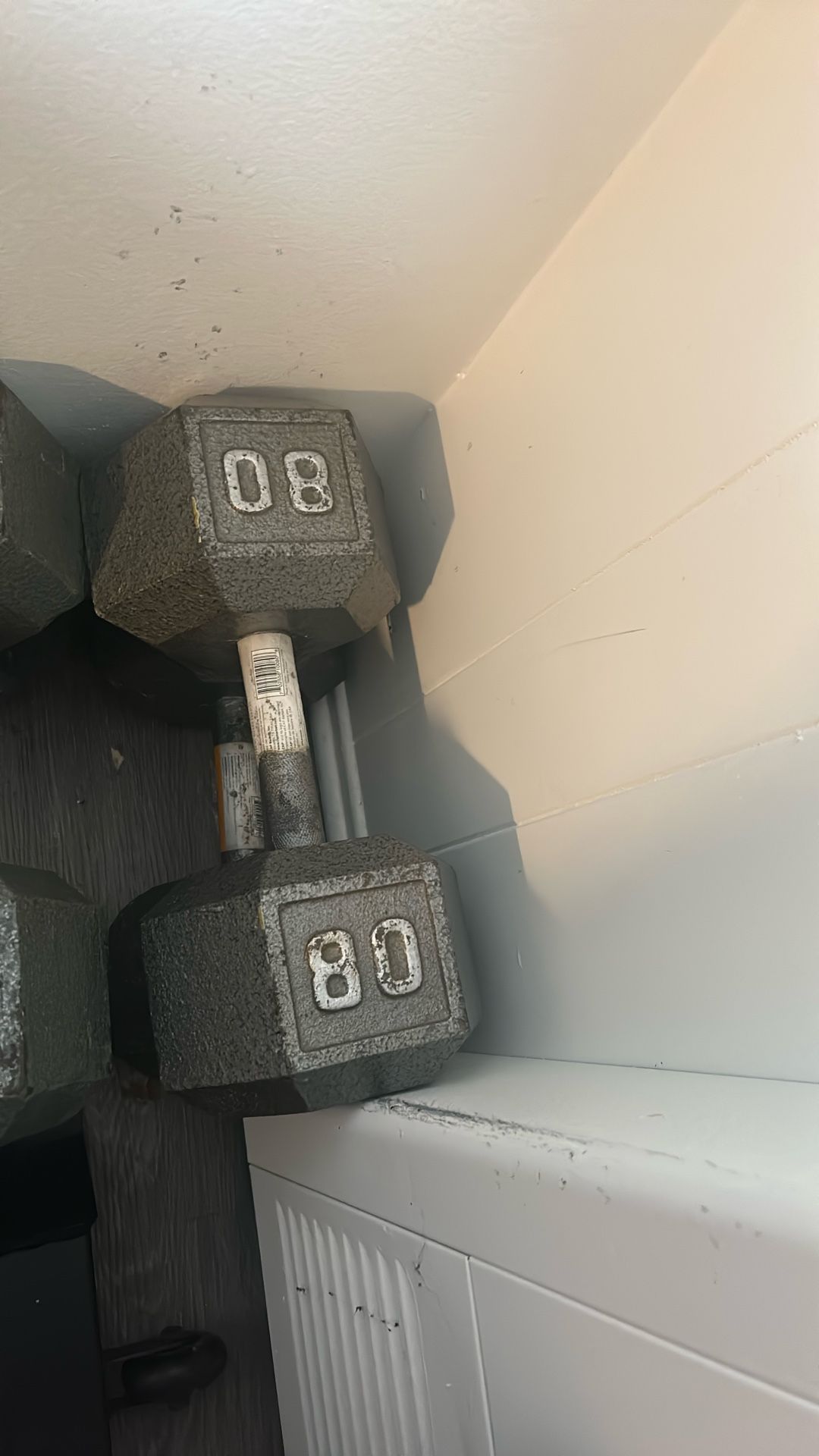 80 Pound Dumbbell’s