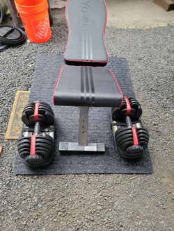 Set of Bowflex 52.5 lbs adjustable dumbbells and adjustable weight bench