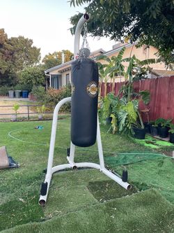 Century Punching bag stand with Everlast Punching Bag