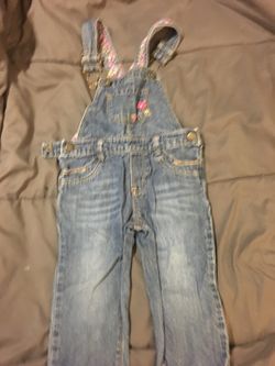 18 month cover all