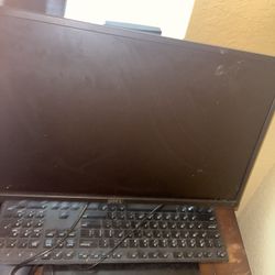 Dell Computer  