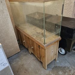 Fish Tank
