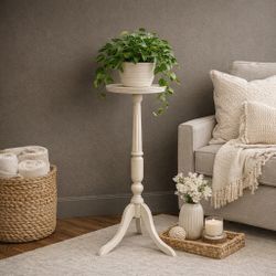 Gorgeous Bombay Plant Stand