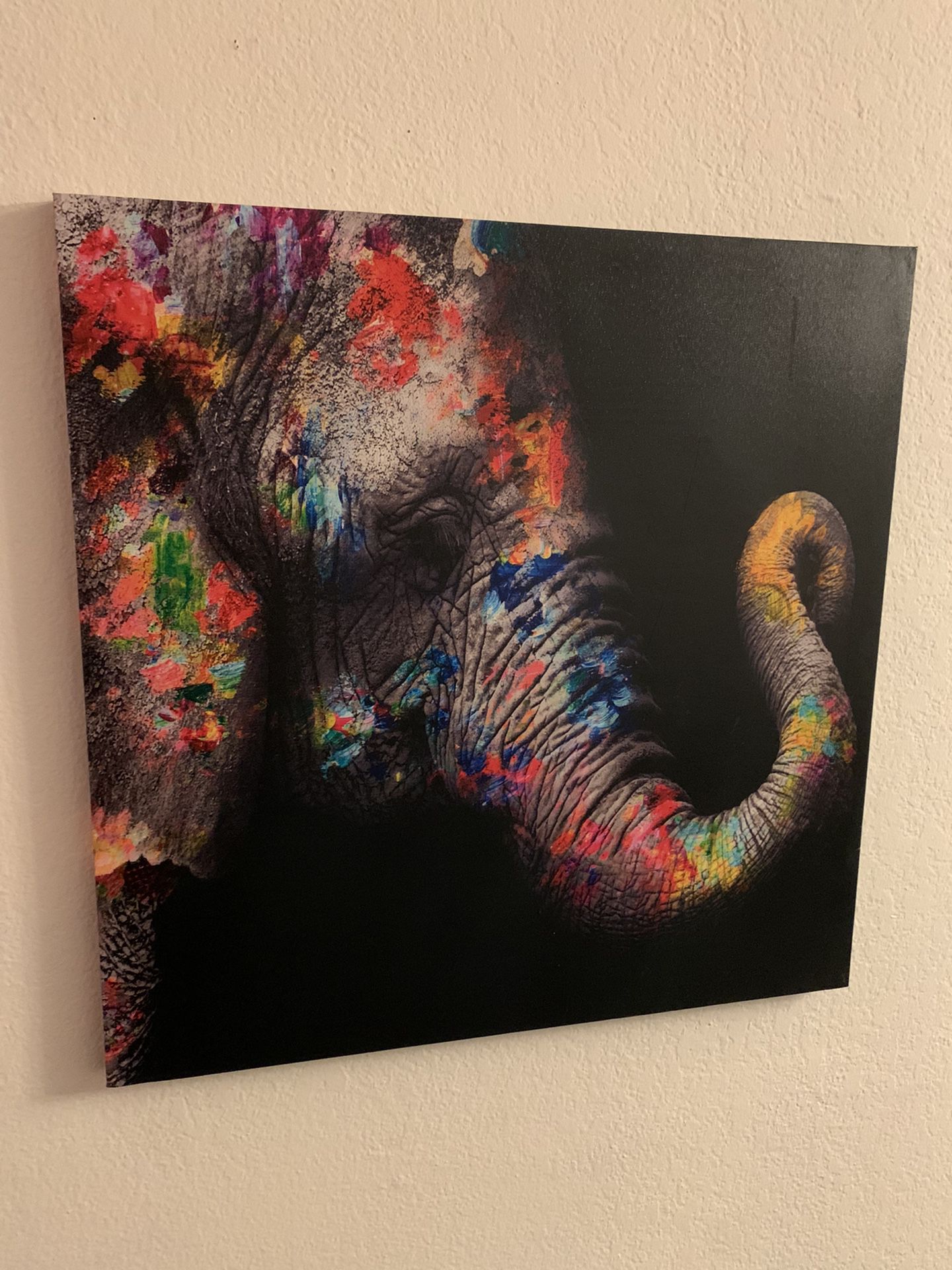 Elephant Canvas Picture