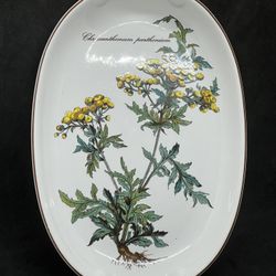 Original Villeroy & Boch Botanica Chrysanthemum Handled Pickle Tray 10"Oval Tray   This beautiful tray from Villeroy & Boch is a must-have for any col