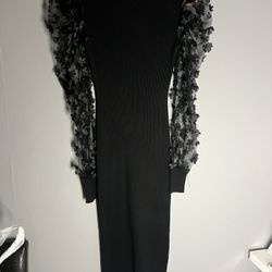 Black Dress With Mesh Long Sleeves 
