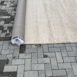 Brand new carpet 12x17 feet