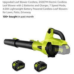 Cordless Leaf Blower 