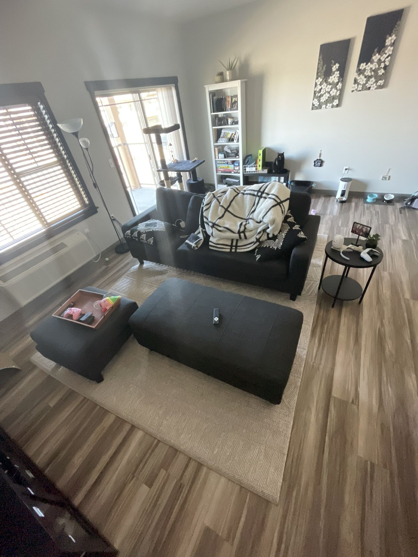 Large Area Rug