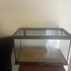Reptile Tank 