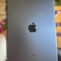 Apple iPad 