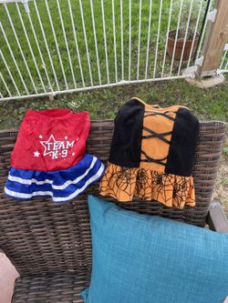Two (2) Small Pet Halloween Costumes