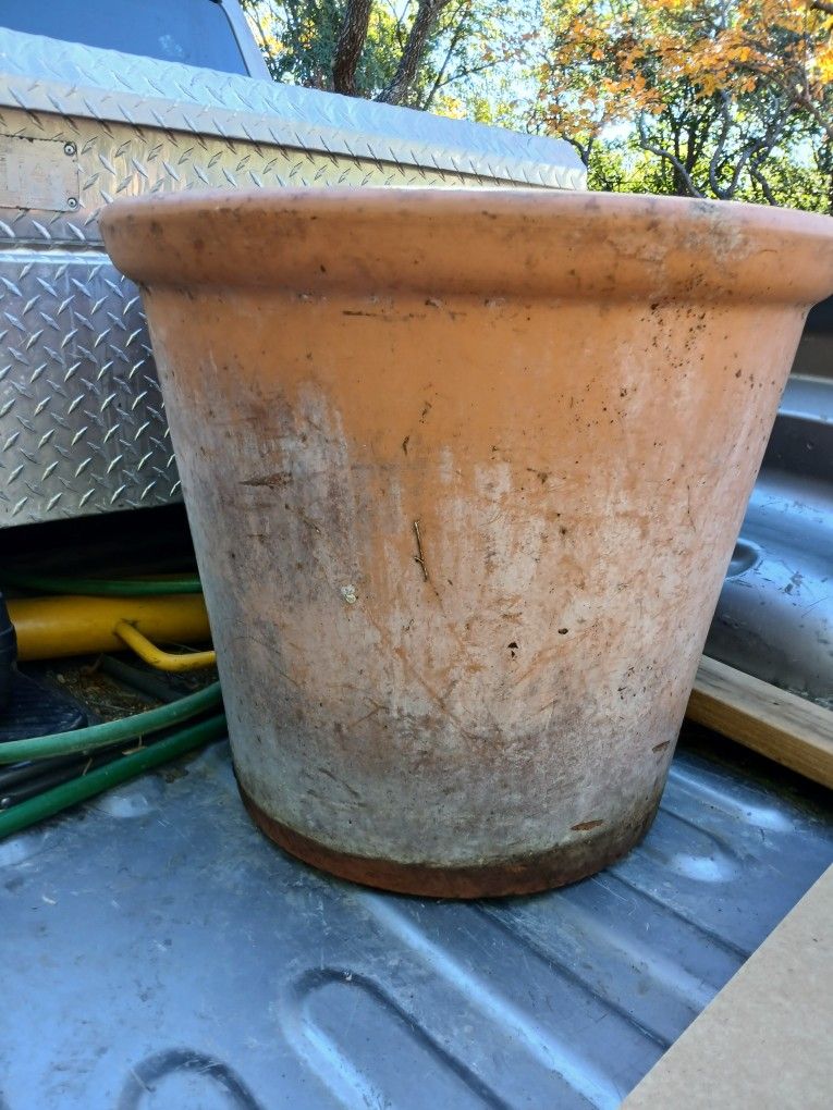Plant Pot Large