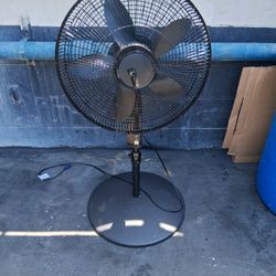 Fan 