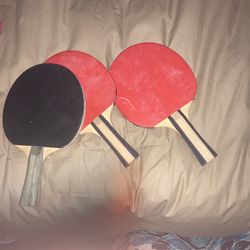 ping-pang paddle