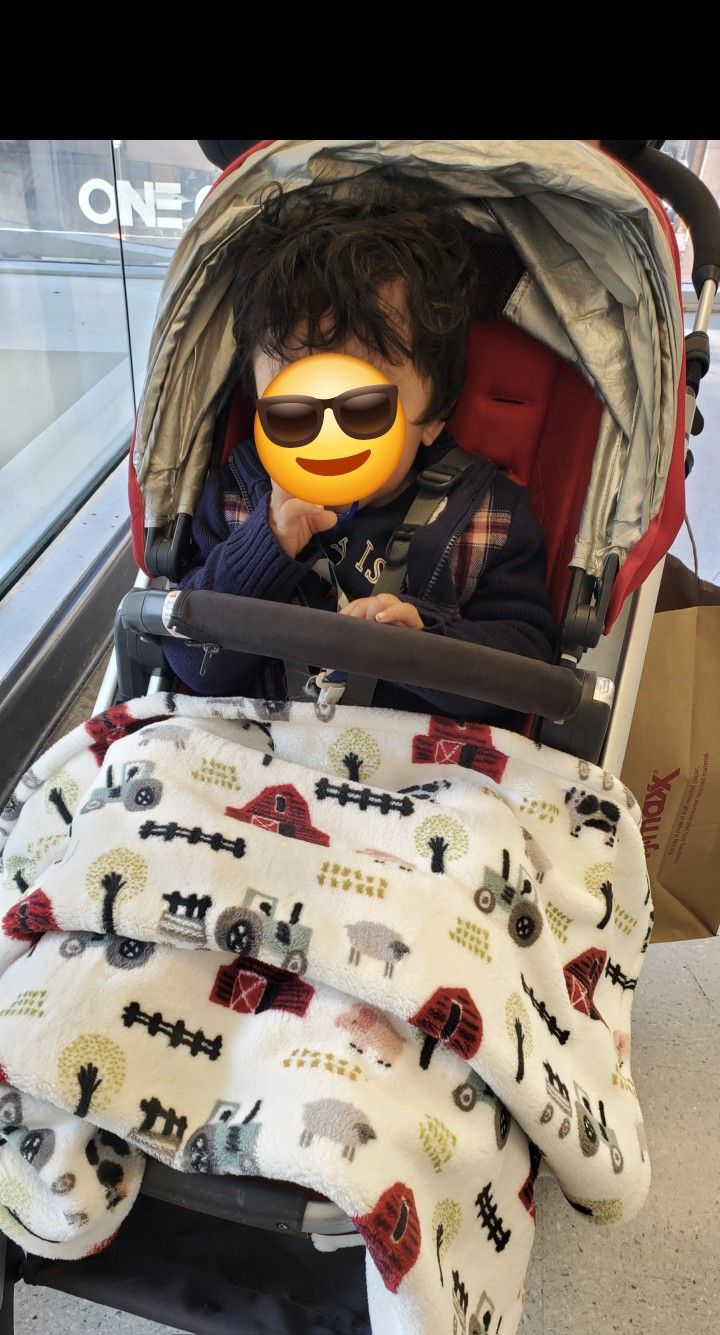 Uppababy VISTA