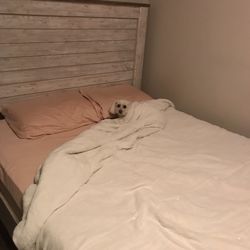 Queen Bed Frame And Box 