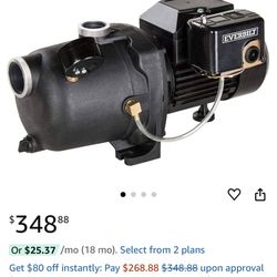 Everbilt 3/4 HP Shallow Well Jet Pump by Everbilt