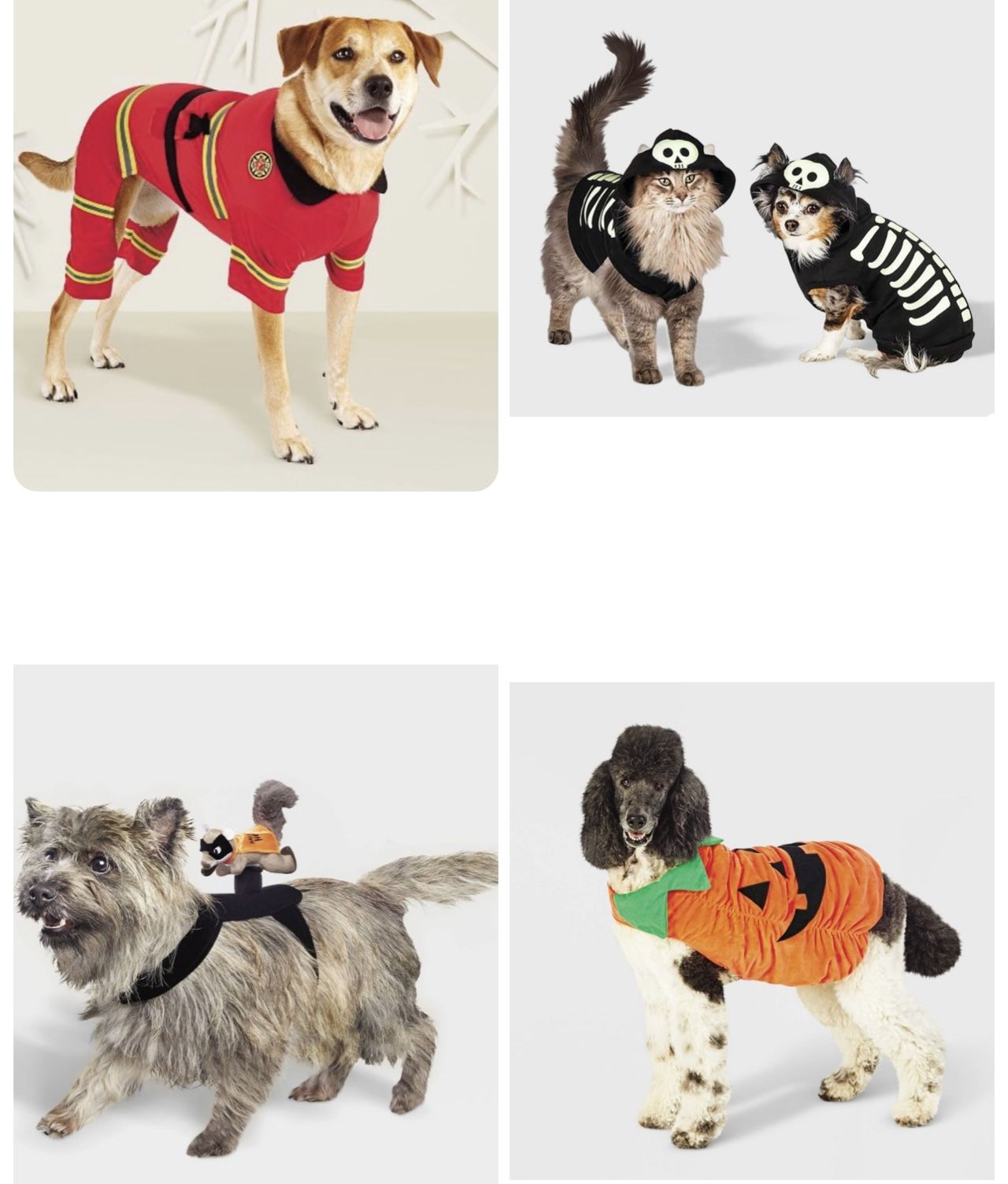 Pet Halloween Costume Bundle 