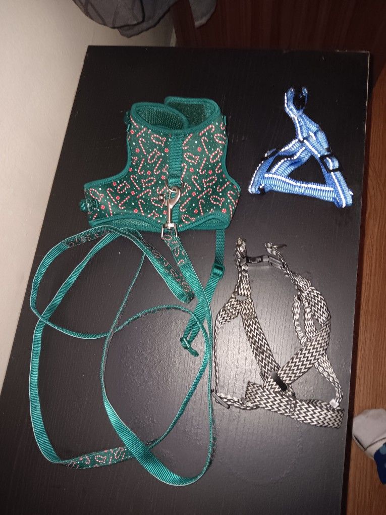 1 LEASH 3 HARNESSES FOR SMALL DOGS $10
