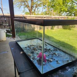 Fish Or Reptile Tank 
