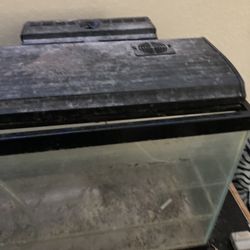 55 gallon fish tank