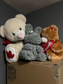 All 3 Teddy Bear