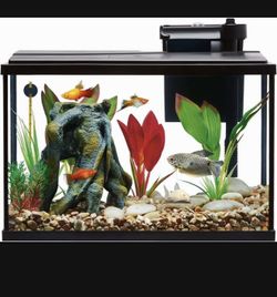 Fish tank with freebies