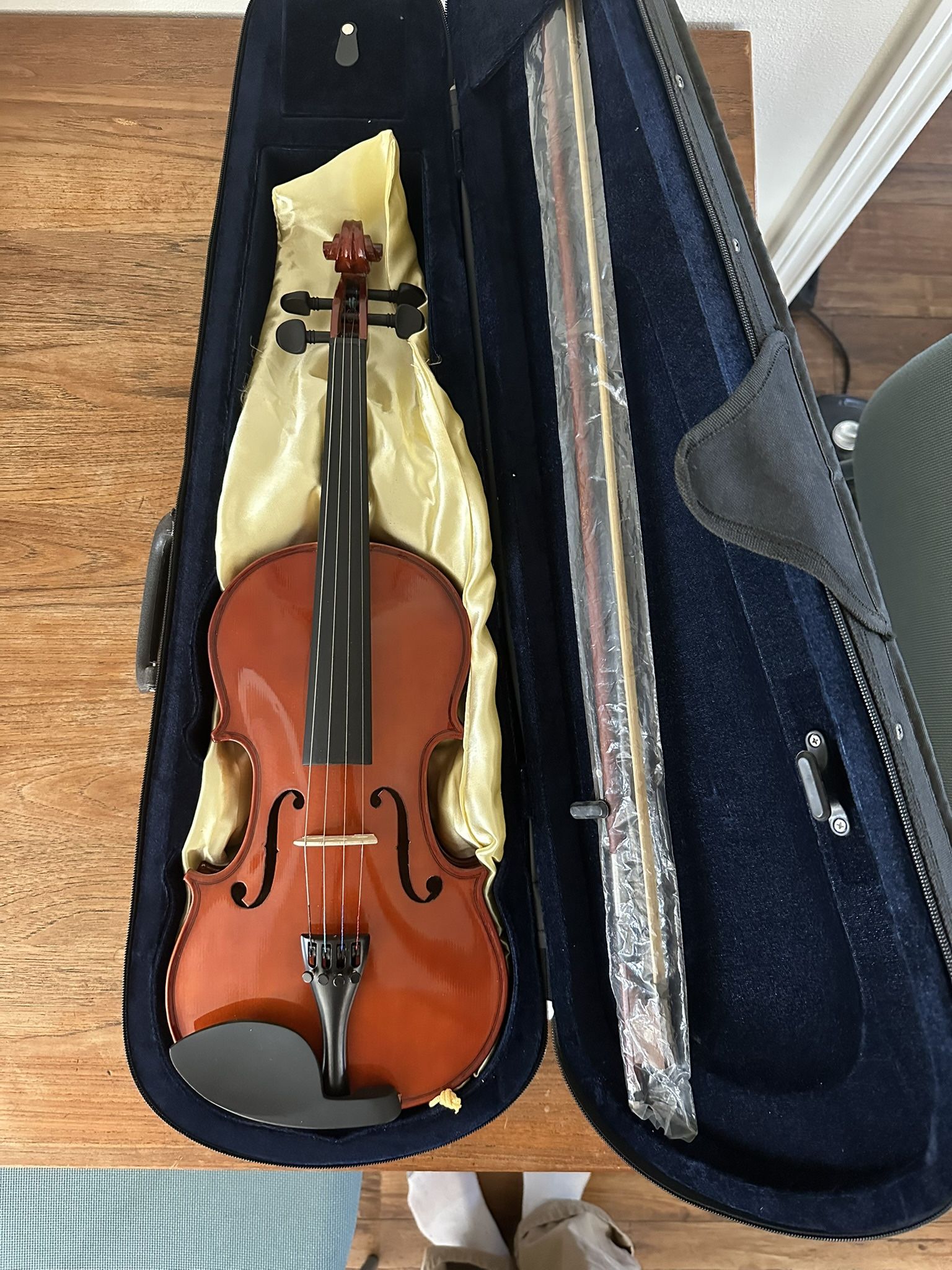 Beginner Violin