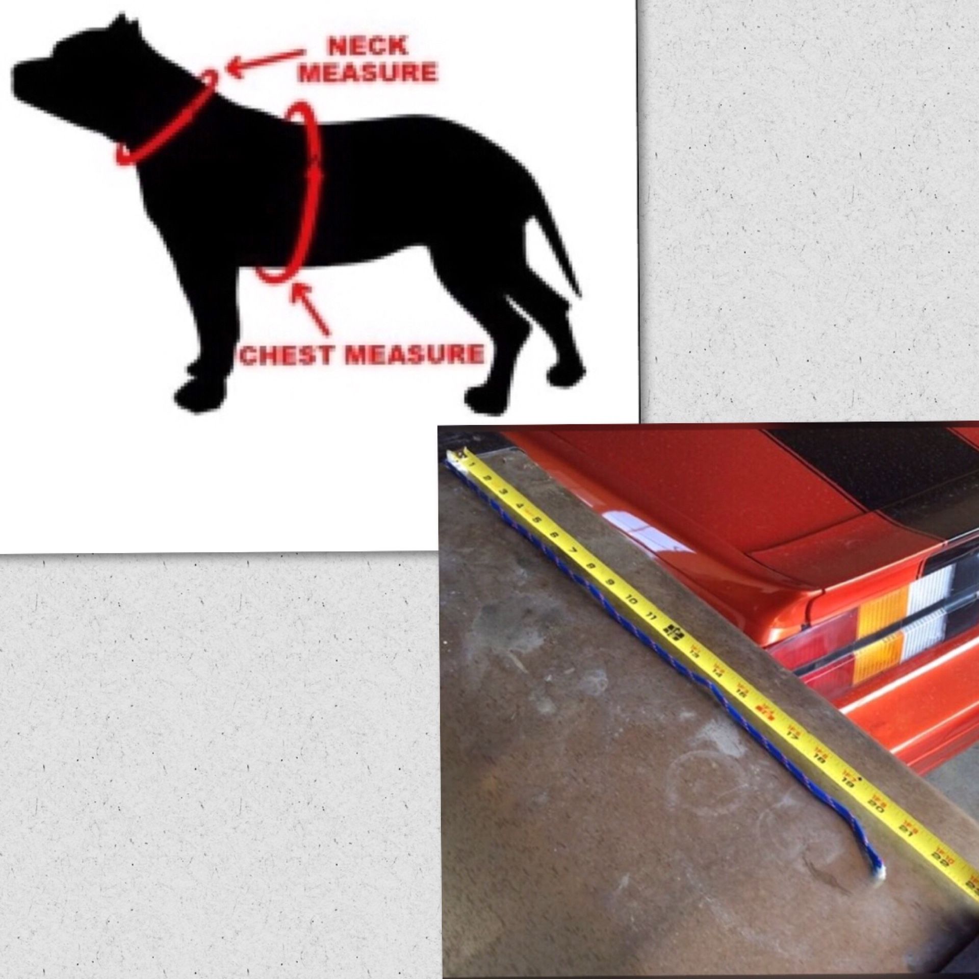 custom dog harness louisvuitton｜TikTok Search