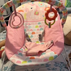 Baby Bouncer 