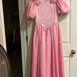 Pink Princess Dress