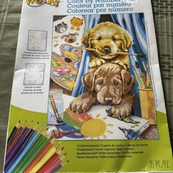 Color By Number Colored Pencil Art Dog Puppy 