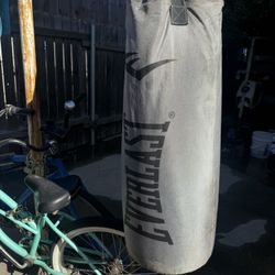 Everlast punching bag