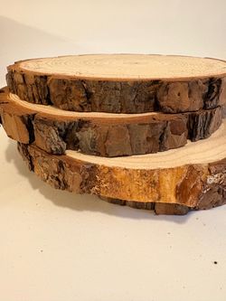 4 Natural Wood Slice