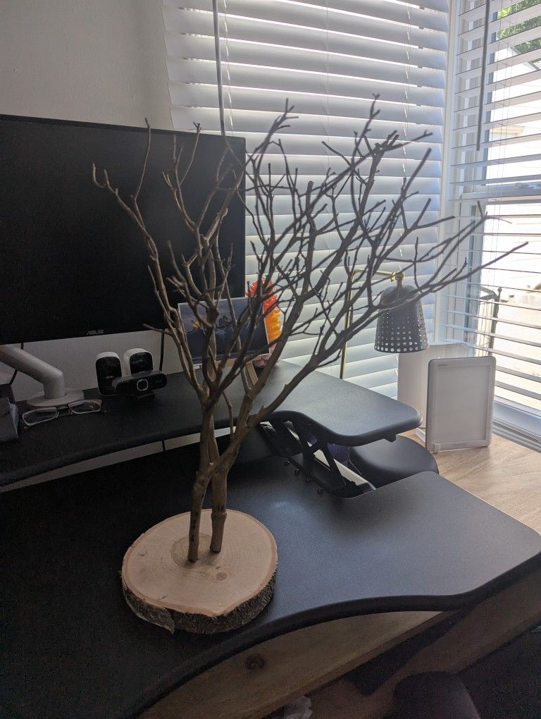 Manzanita Tree Branches