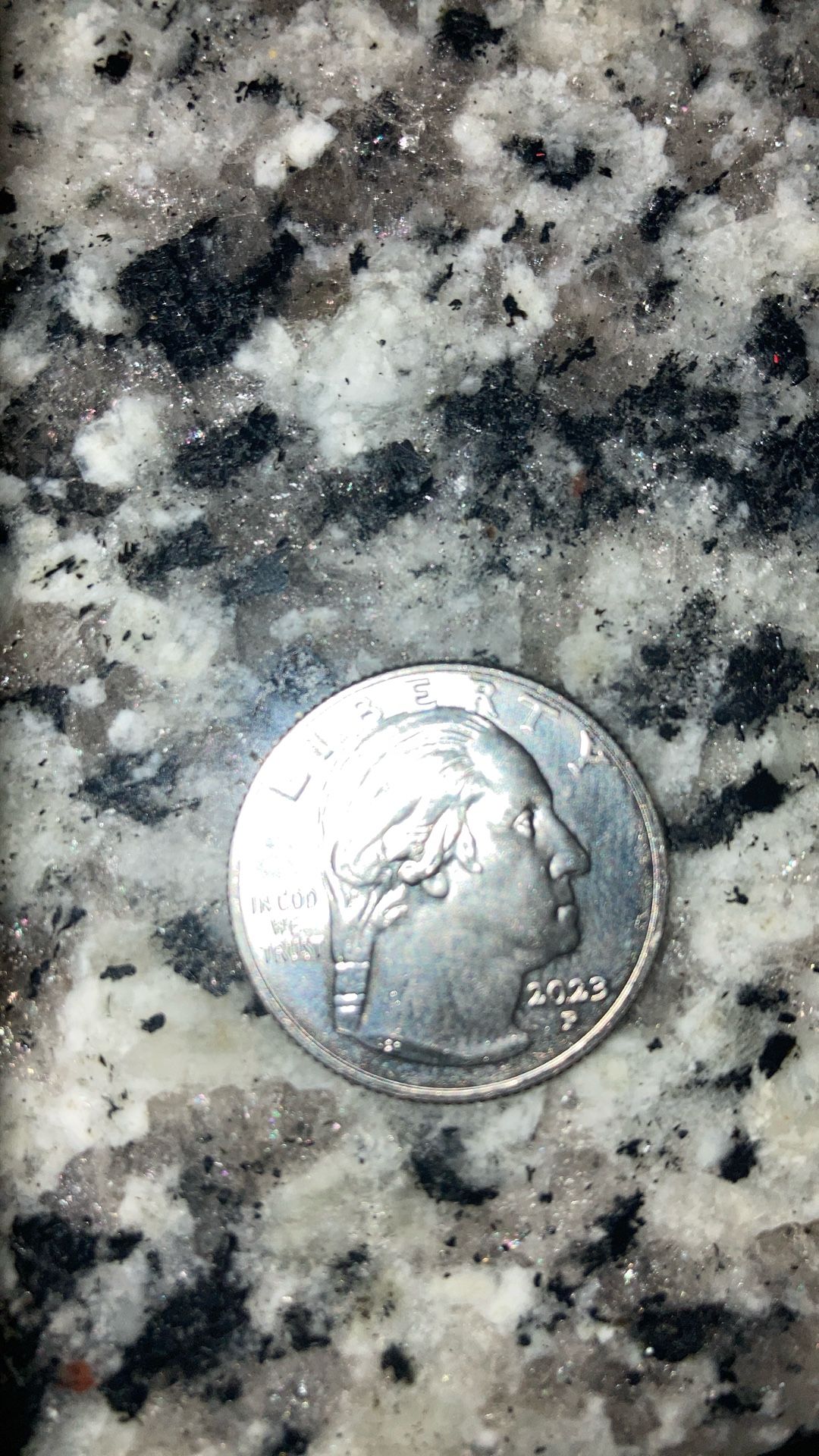 Miss Print Quarter Very Rare In Cod We Trust