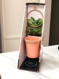 NEW cute home decor planter