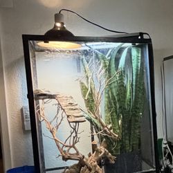 Reptile Enclosure 