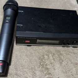 2 Microphone Senheiser
